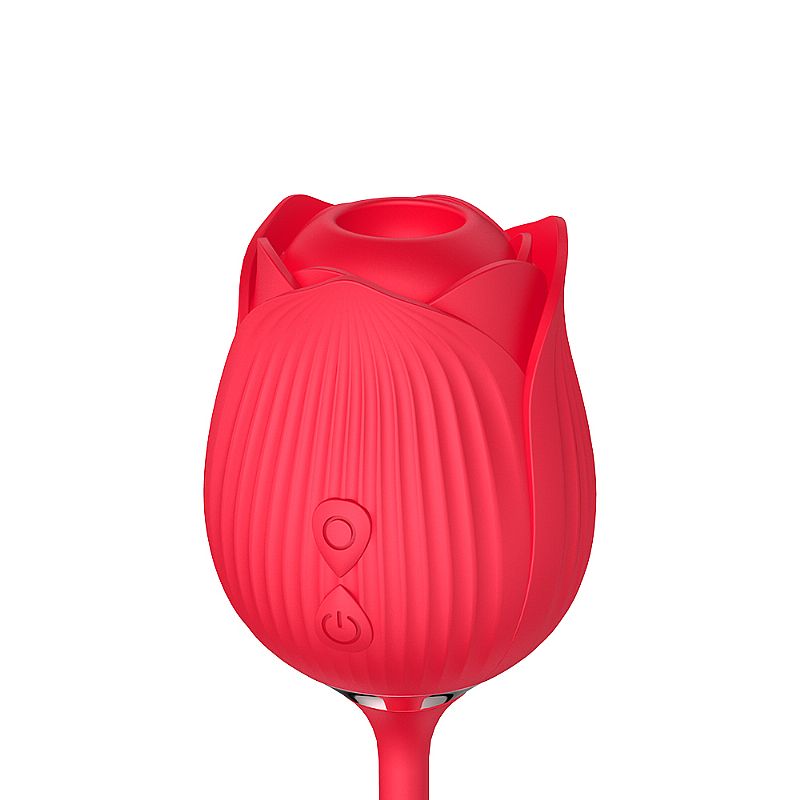 Vibrador de Ponto G e Clitoris com Vai e vem - Formato de Rosa - Hortensia