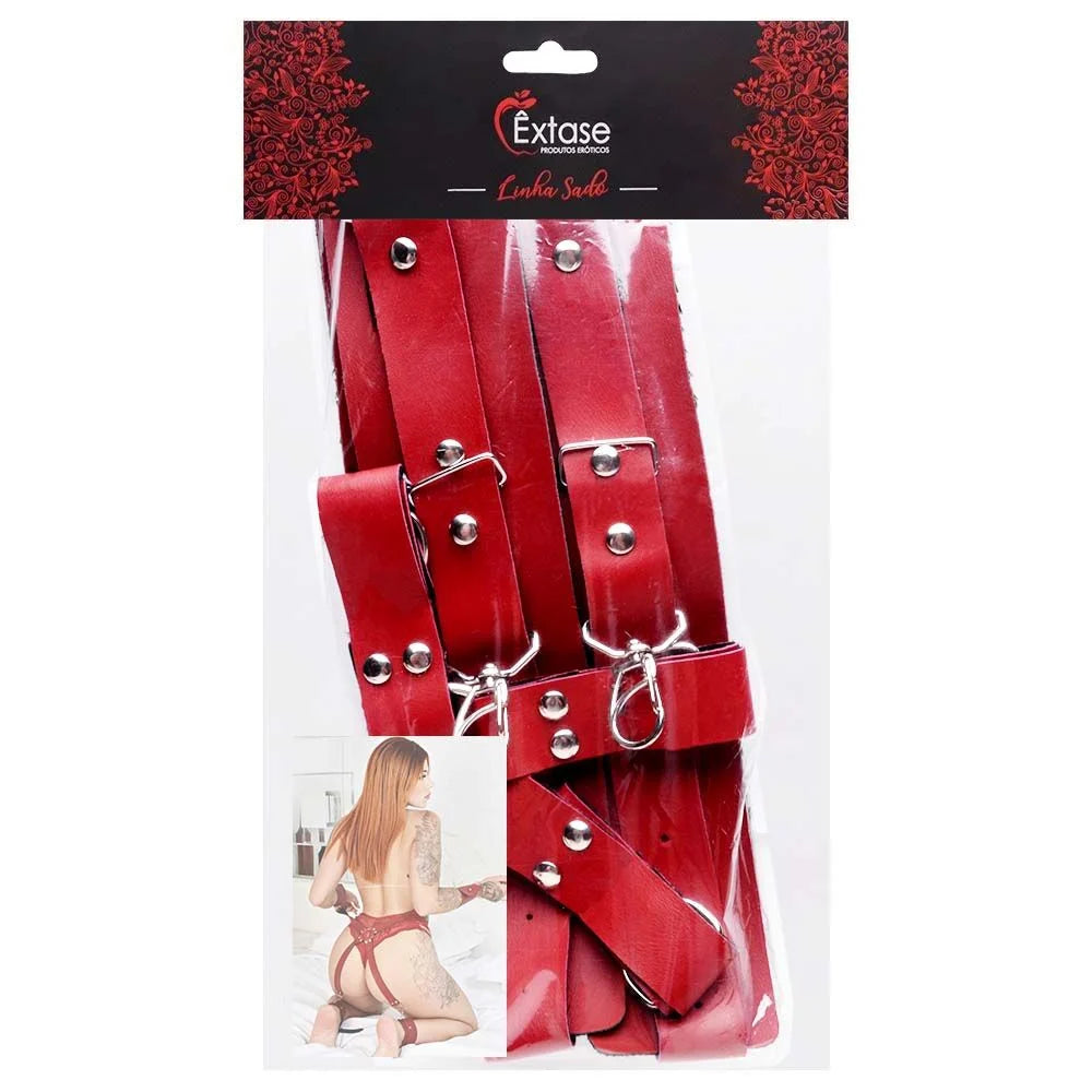 Arreio Harness Algema Pe E Mao